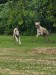 FB_IMG_1751736816521