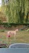 FB_IMG_1751860689228