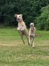 FB_IMG_1751736819258