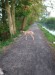 FB_IMG_1745773710296