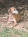 Messenger_creation_C31D0D7C-80F5-473A-8FA7-356514C40C28
