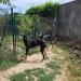 Messenger_creation_D9CE039B-B7D5-4115-A92C-504AF3D791C6