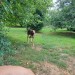 Messenger_creation_F9B17C9C-6DA8-4AF4-A064-76A097A17169