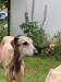 Messenger_creation_3B0E0C7B-6806-4BC0-A1E7-73BC23F13E69