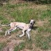 Messenger_creation_D8F081D3-A0B7-45D3-BA15-0B0638C329E5