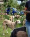 Messenger_creation_9F1923D1-B030-4318-B960-11C322533037