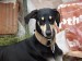 Messenger_creation_F1D68164-1274-4E87-9905-988C21042843