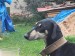 Messenger_creation_B8232284-9229-4714-A4E4-92D01A3CD56F