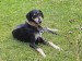 Messenger_creation_87B961AA-BD69-4882-A8CB-82D97C7672A7