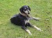 Messenger_creation_C789582F-C904-49E1-B3D4-EBAA897D2205