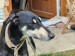 Messenger_creation_235624B9-9F46-4CD6-8738-72C267E3020D