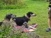 Messenger_creation_A56695D7-8ECD-4859-BD98-68FB4EA2C2EA