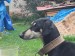 Messenger_creation_707D4C61-13AB-40DB-9CED-5C9D0C48CC05