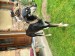 Messenger_creation_0CC0E995-F96F-4E77-A195-3DF2453BCB98