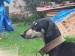 Messenger_creation_D65307C6-6621-41A1-8155-BE3FB38ECCBC