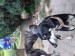 Messenger_creation_9565F2B9-CC72-4DE8-921A-4685B60C12C0