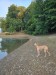 FB_IMG_1755428239336