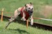 FB_IMG_1754318463657