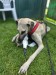 FB_IMG_1754739527495