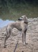 FB_IMG_1755380455515