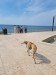 FB_IMG_1755459170451