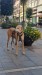 FB_IMG_1755459192160