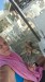 FB_IMG_1755548645897