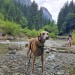 FB_IMG_1755183566516