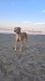 FB_IMG_1755263396777