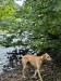 FB_IMG_1756638143962