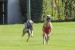 FB_IMG_1756575881675