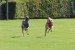 FB_IMG_1756575884536