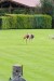 FB_IMG_1757780518526