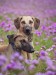 FB_IMG_1758773476518