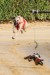 FB_IMG_1757068372497