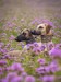 FB_IMG_1758773473996