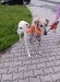 FB_IMG_1757268599167