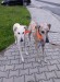 FB_IMG_1757268591877