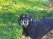 Messenger_creation_981BEFB4-7221-45C2-9D7C-3D8EF0231F70