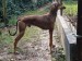 Messenger_creation_28519E07-62B8-4047-BA08-20E20EBF0EAD
