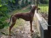 Messenger_creation_B552F314-EF5D-4B7A-9895-E3EE24EFECA3