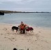 FB_IMG_1774124075867